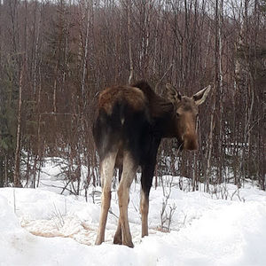Meet your Posher, Sandy
